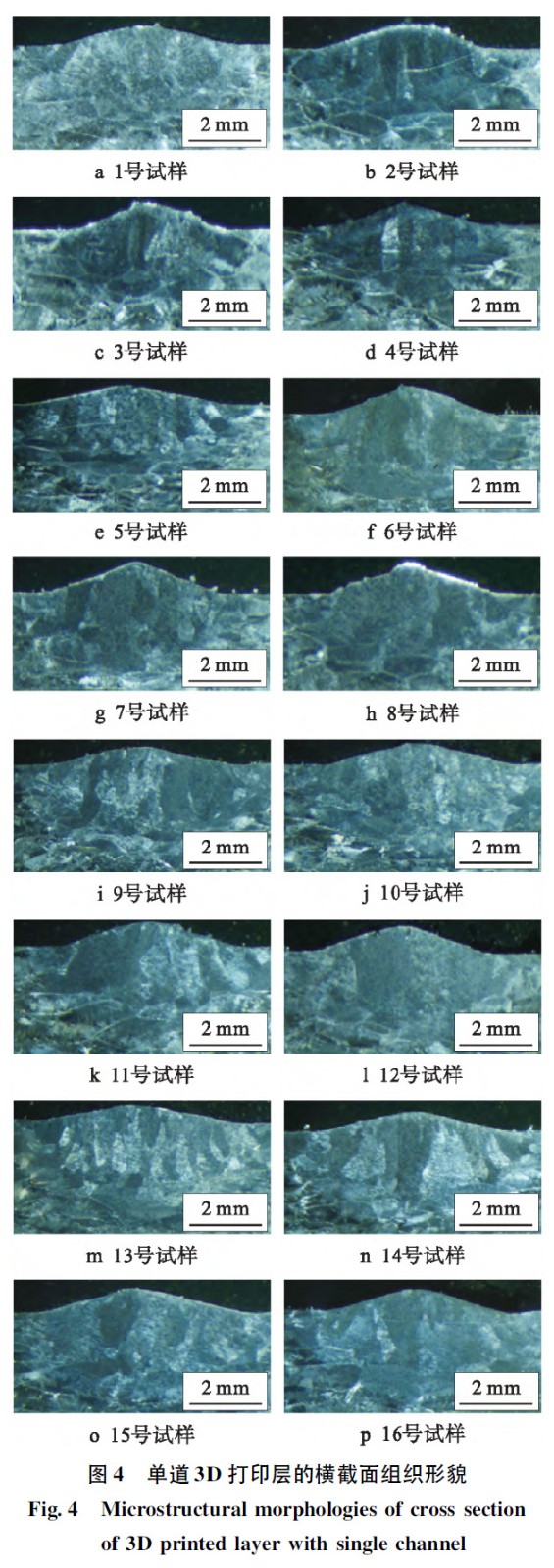 1664854138466447.jpg t4.jpg