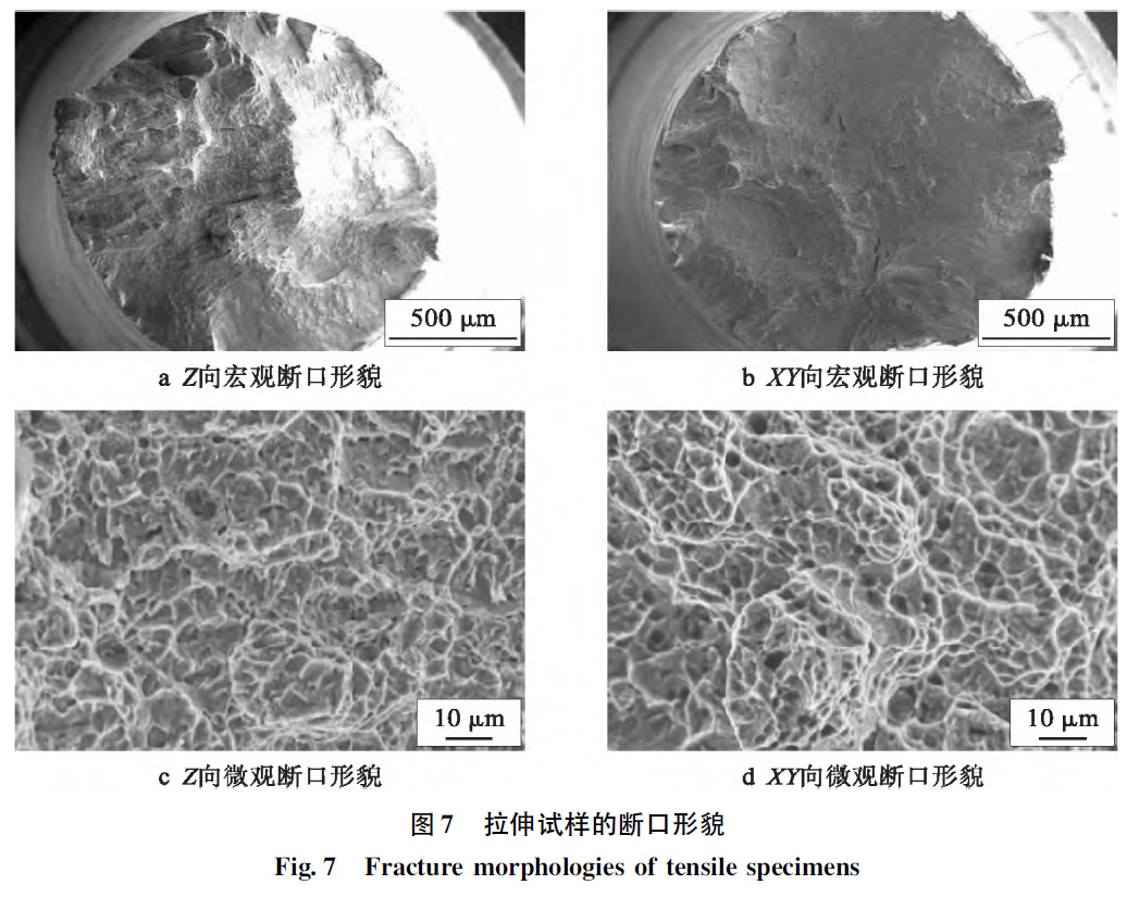 1664854302427879.jpg t7.jpg