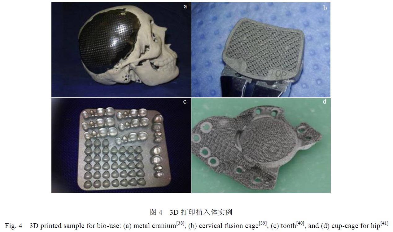 1670401278482149.jpg t4.jpg