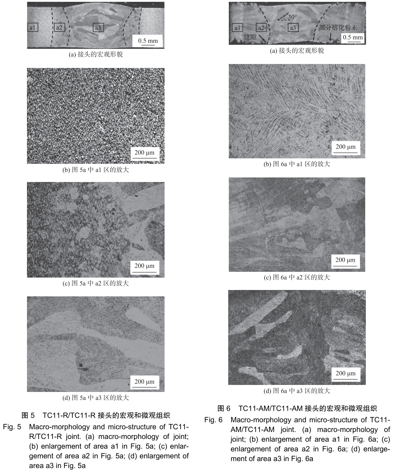 1701651389611391.jpg t5-6.jpg