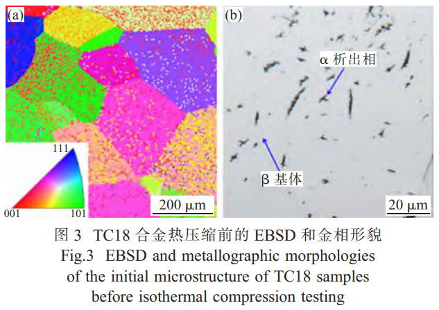 1746451394117214.png 截圖20250505211940.png