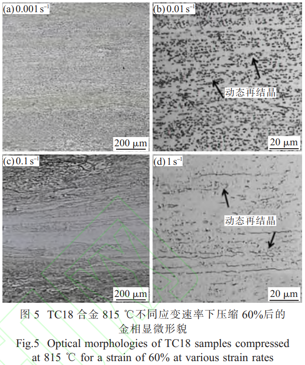 1746451412125898.png 截圖20250505212012.png