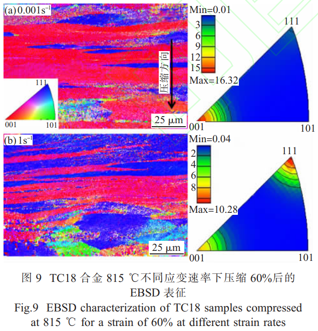 1746451457611094.png 截圖20250505212131.png