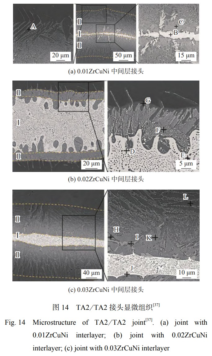 1746502726483160.jpg 14.jpg