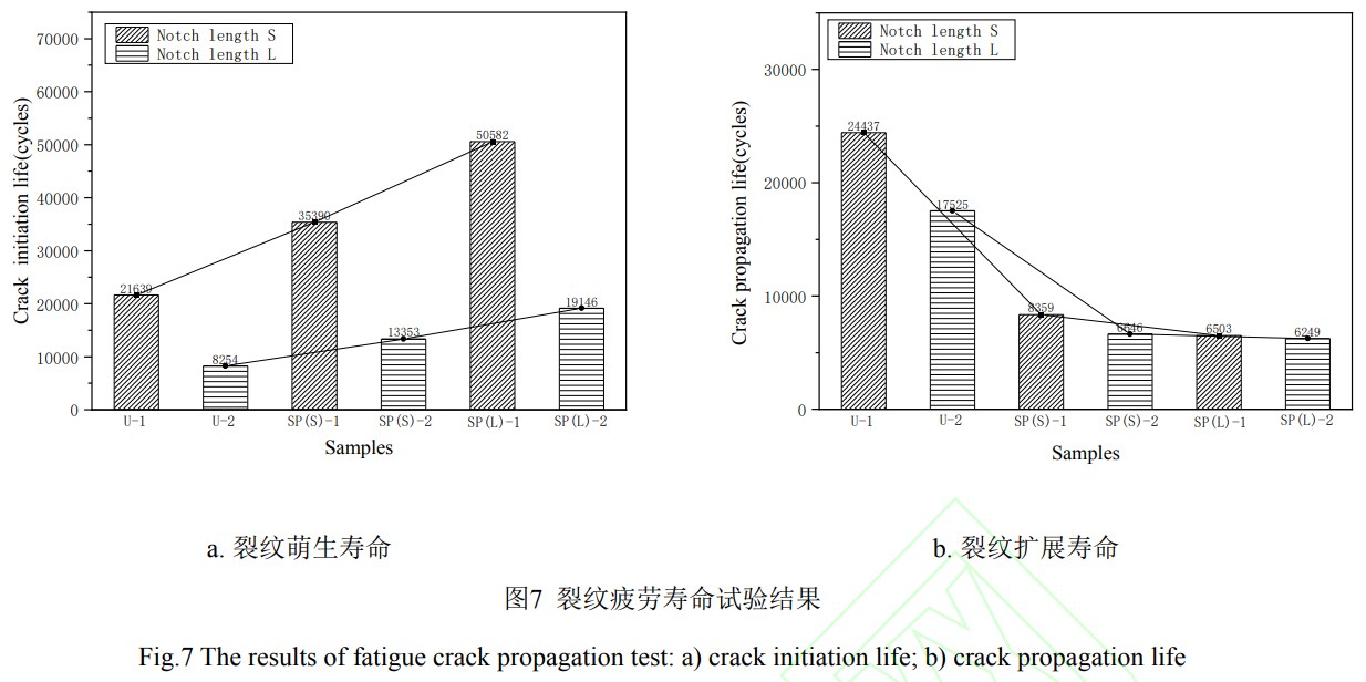 1747020358334529.jpg 7.jpg