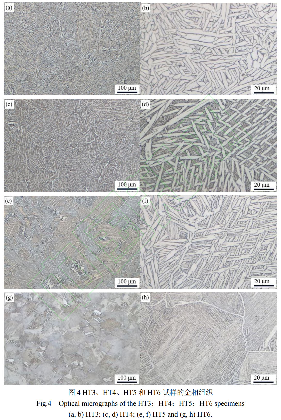 1759400514246959.jpg 未標題-6.jpg