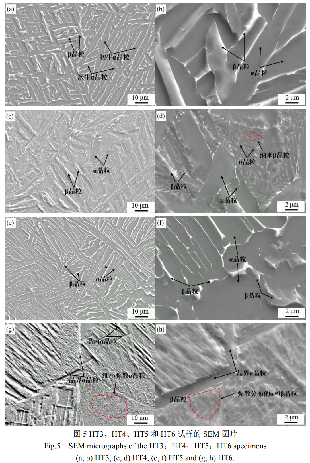 1759400567116994.jpg 7.jpg