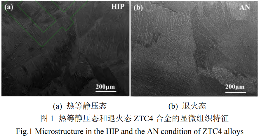 1764495291436299.png 截圖20251130172707.png