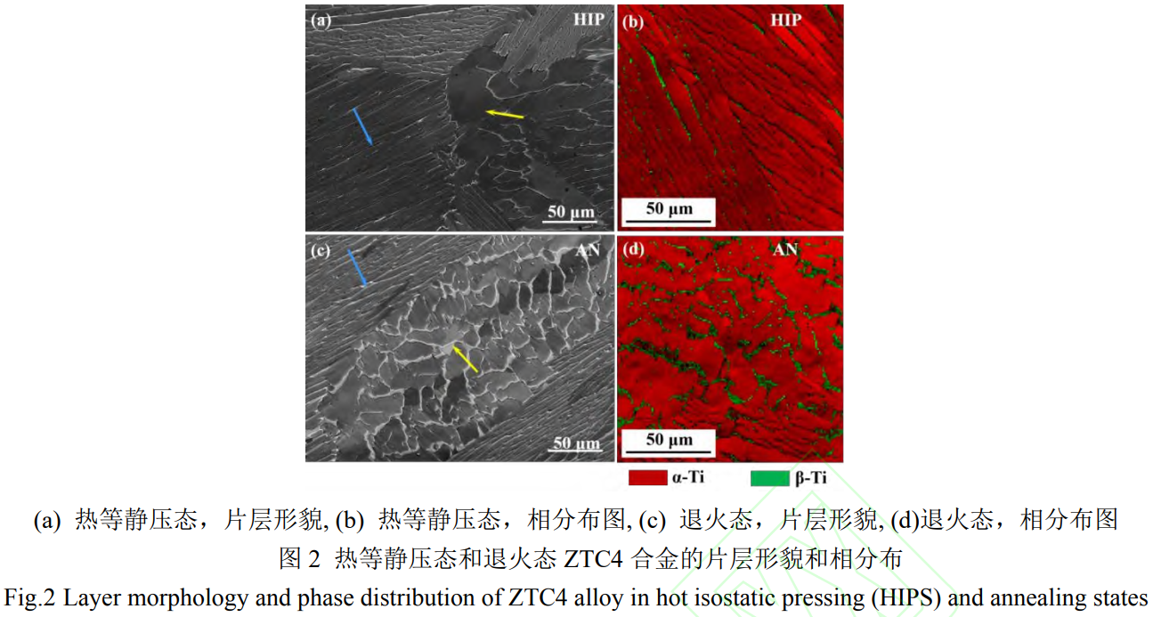 1764495307128888.png 截圖20251130172724.png