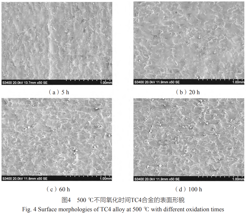 1764642015281686.png 截圖20251202101623.png