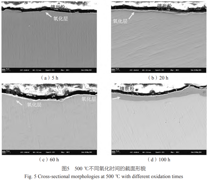 1764642025970969.png 截圖20251202101636.png