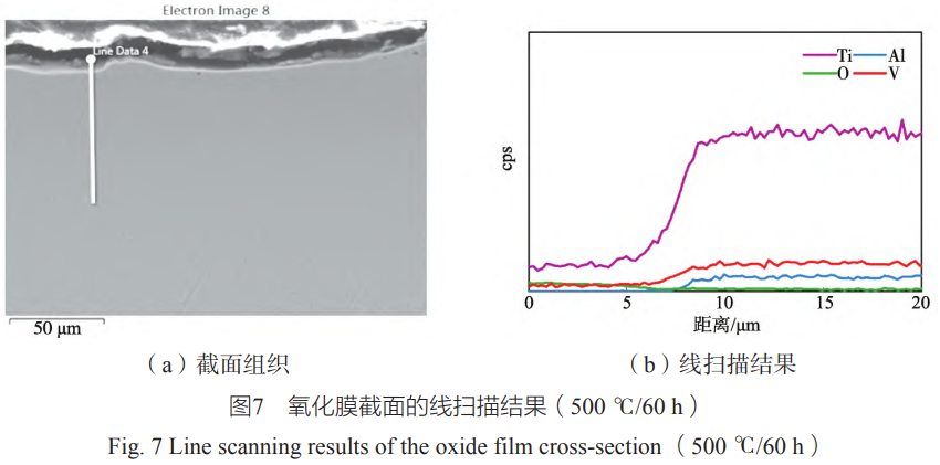 1764642044874061.png 截圖20251202101702.png